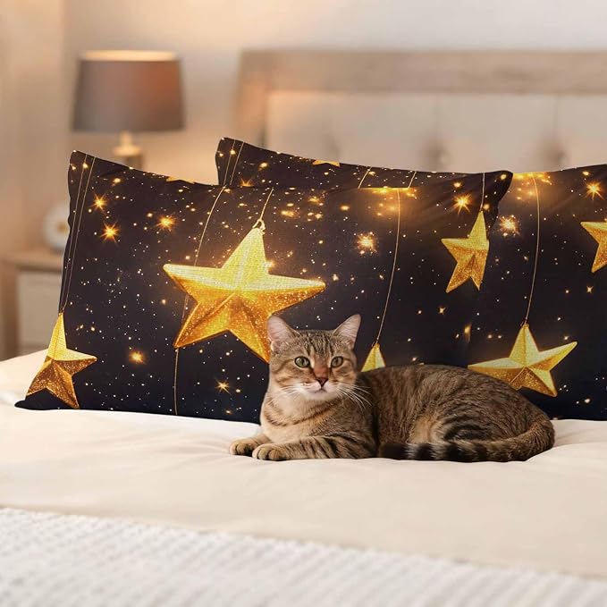Gorgeous Star Outdoor Waterproof Throw Pillow Covers Set of 2, 20"x12", Starry Sky Dream Fantasy Decorative Pillow Covers Outside Cushion Case for Patio Porch Garden