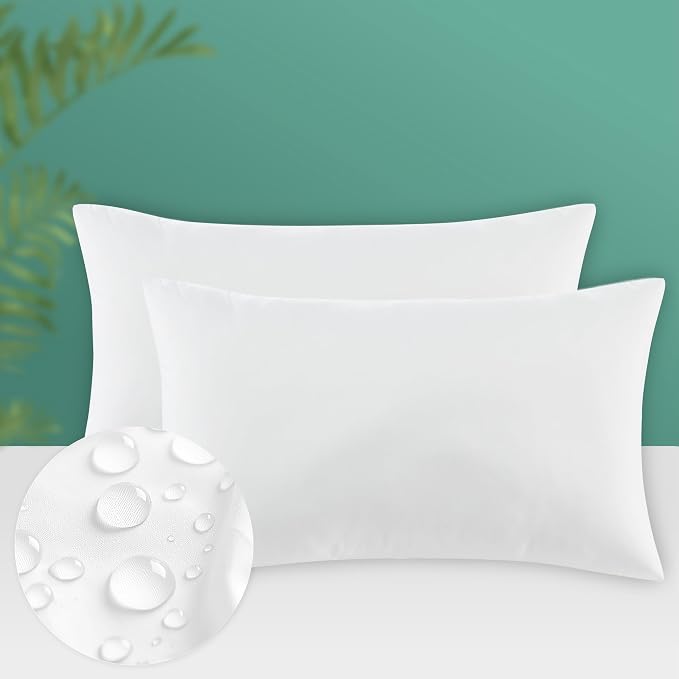 Codi Waterproof Outdoor Pillow Inserts, Rectangular 12 x 20 inches, 2 Pack