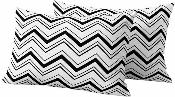 Abstract Geometric Outdoor Pillow Covers Set of 2 Ripple Stripe Chevron Black and White Waterproof Throw Pillow Cover Decorative Cushion Cases for Patio Porch Garden 20X12 Inch