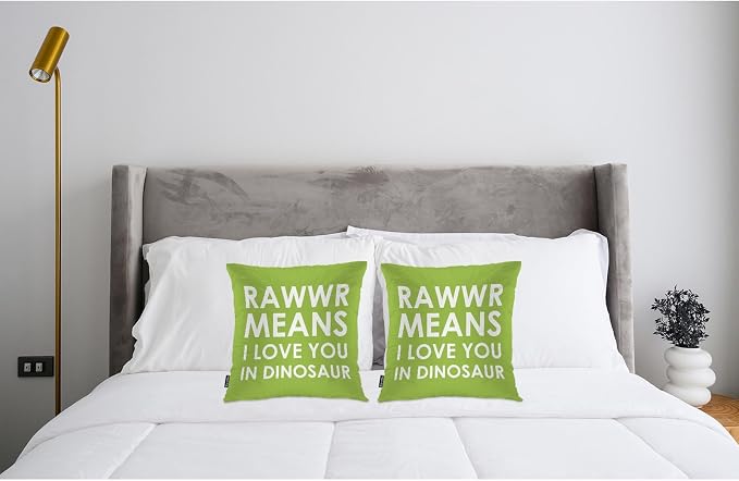 Swono Dinosaur Phrase Decorative Throw Pillows Covers, Rawwr Means I Love You in Dinosaur Square Pillow Cushion Covers for Man Woman, Pillowcases Decor for Home Sofa Bed Garden 2 Packs, 18x18 Inch