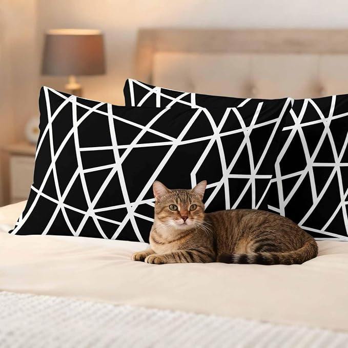 Outdoor Pillow Covers Waterproof, Black Geometric Decorative Rectangle Throw Pillowcases Patio Cushion Covers for Tent/Garden, 20" x 12" 2 Pack, Abstract Stripes Modern Simple