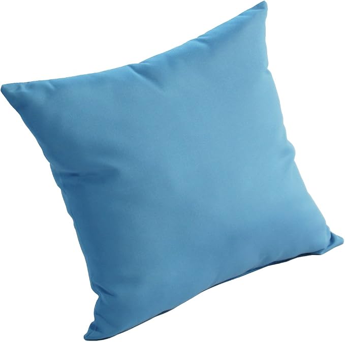 Comfort Classics Sunbrella Outdoor/Indoor Throw Pillow in Sky Blue Inc.