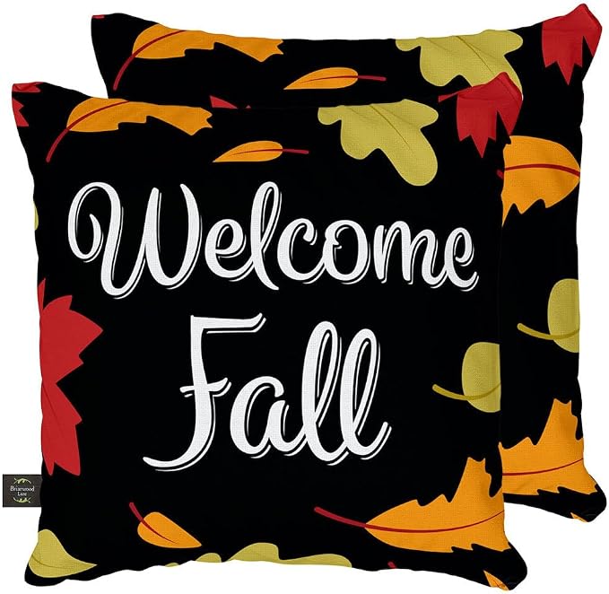 Briarwood Lane Fall Indoor/Outdoor Pillow 17x17 Welcome Leaves Autumn Decorative for Fall Pillow