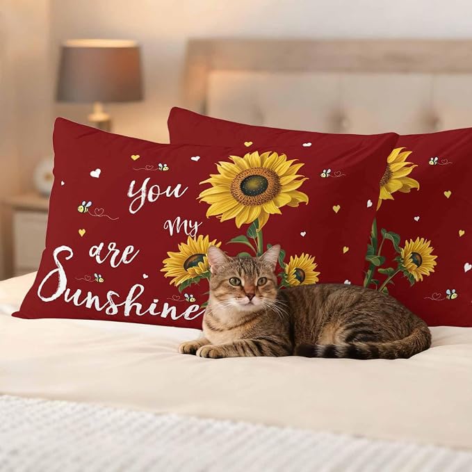 You Are My Sunshine Outdoor Pillow Covers Set of 2 Vintage Country Yellow Sunflower Floral Bees Heart Red Waterproof Throw Pillow Cover Decorative Cushion Cases for Patio Porch Garden 20X12 Inch