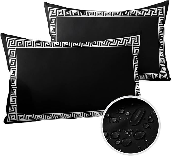 Outdoor Throw Pillow Cover Simple Geometry Greek Art Waterproof Cushion Covers 2 Pack Classic Greece Black White Pillow Cases Home Decoration for Patio Garden Couch Sofa