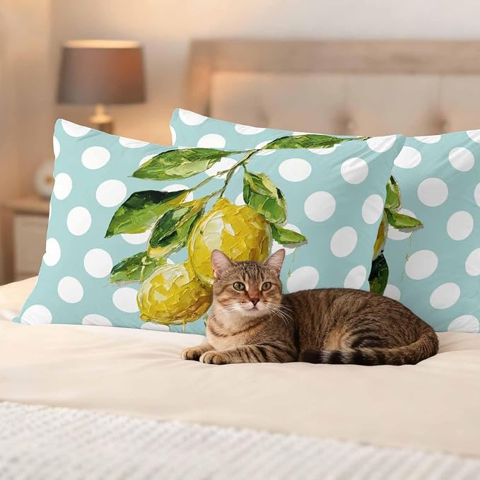 Waterproof Pillow Covers Set of 2,Summer Lemon Leaf Country Fruit Outdoor Pillow Protectors with Zipper Pillowcases for Patio Tent Garden Beach 20x12 Inches Polka Dot Light Blue
