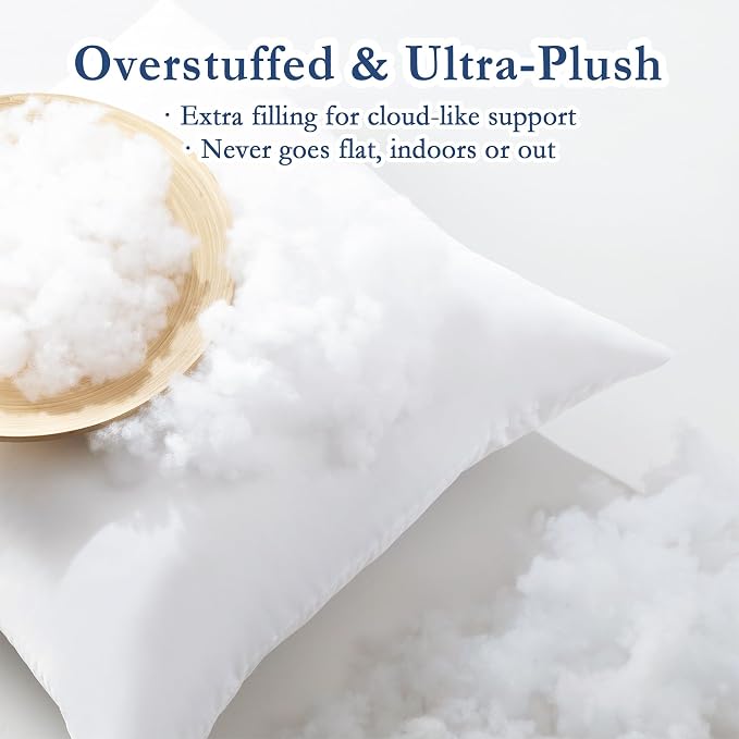 puredown® 12x20 Outdoor Pillow Inserts, Set of 2, Fluffy Soft Lumbar Pillows Filled with Plump Down Alternative Stuffer for Porch Swing Sofa Couch Cushion Patio Furniture