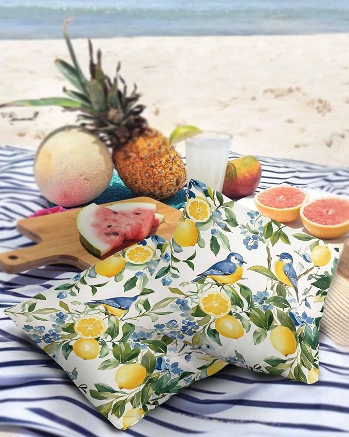 Outdoor Throw Pillow Covers Waterproof Pillow Cases 26x26In, Watercolor Lemon Bird Decorative Pillow Covers Cushion Cases for Couch Sofa Patio Garden,2 Pack Vintage Spring Blue Flower Foliage