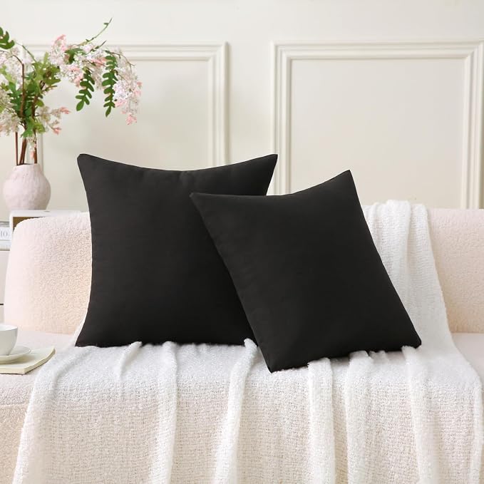 16 x 16 Inch Throw Pillow for Outdoor Seating, Waterproof Lumbar Pillows with Insert, Square Decorative Garden Cushion for Couch Patio Sofa Home Furniture (Black, 16" x 16" (Pack of 2))