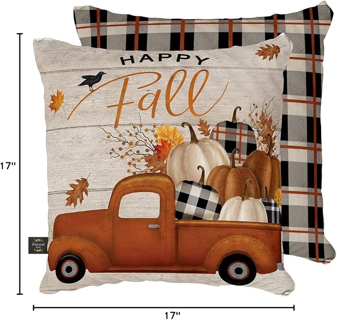 Briarwood Lane Indoor/Outdoor Pillow 17x17 Happy Fall Pickup for Fall Pillow