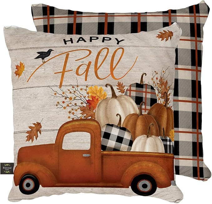 Briarwood Lane Indoor/Outdoor Pillow 17x17 Happy Fall Pickup for Fall Pillow