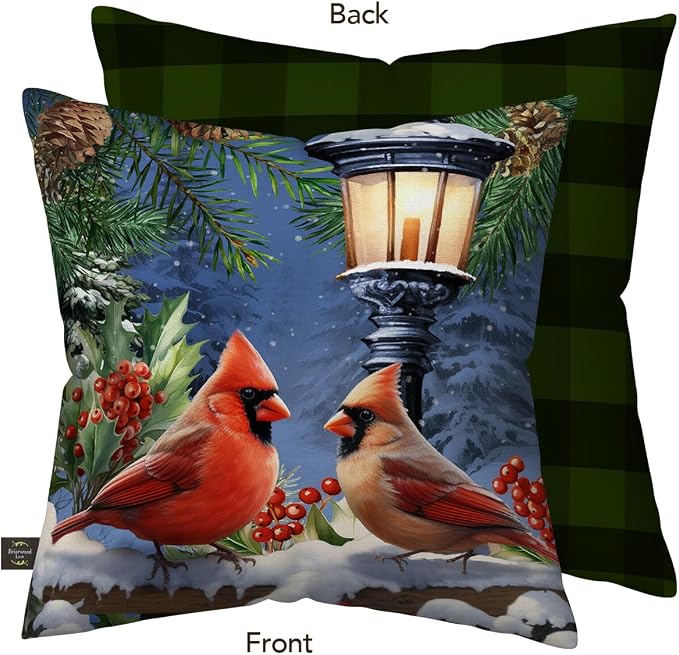 Briarwood Lane Winter Indoor/Outdoor Pillow 17x17 Winter Glow Cardinals for Winter Pillow