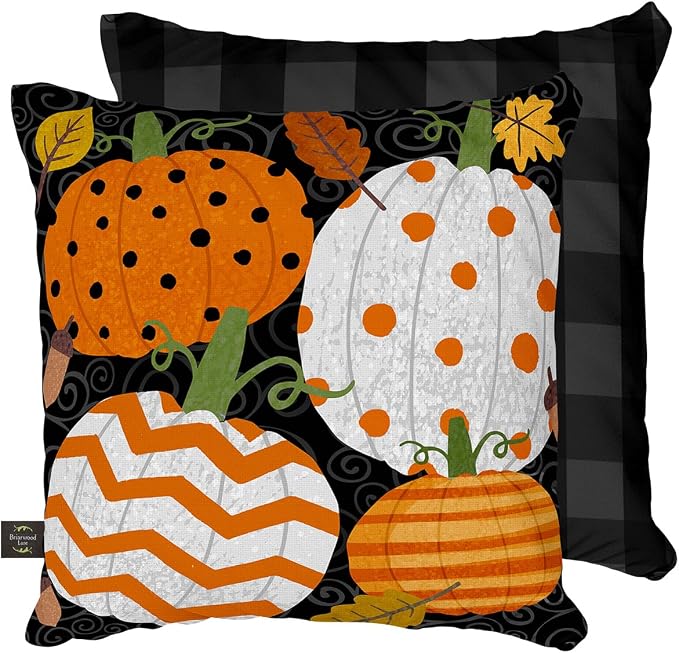 Briarwood Lane Fall Indoor/Outdoor Pillow 17x17 Fall Celebration Pumpkins for Fall Pillow