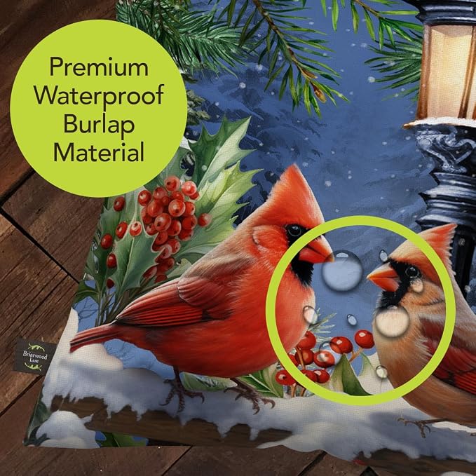 Briarwood Lane Winter Indoor/Outdoor Pillow 17x17 Winter Glow Cardinals for Winter Pillow