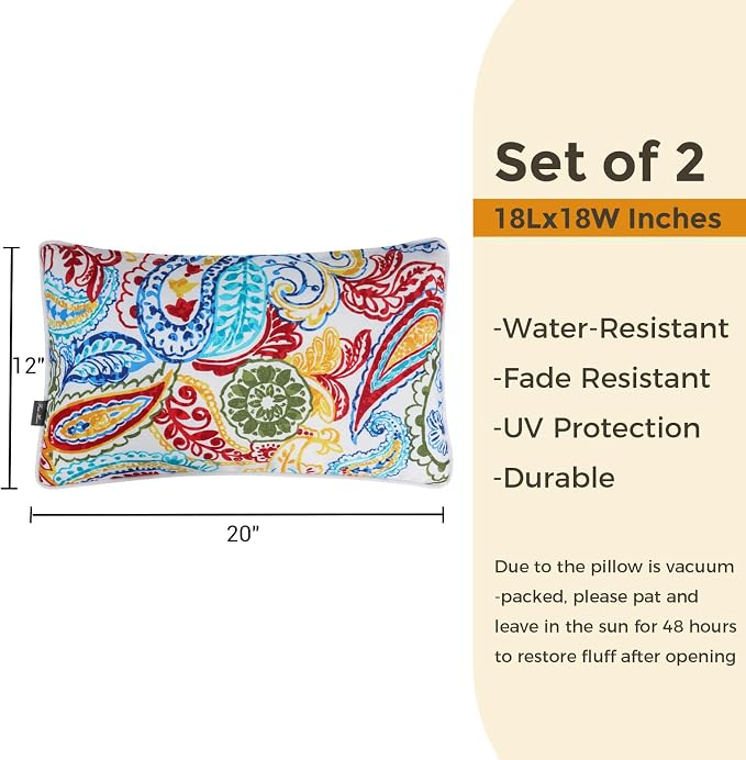 FUNHOME Outdoor Lumbar Pillows 12x20 inch,Decorative Throw Pillow Set of 2 with Insert,Water Resistant Headrests for Patio Furniture Sofa Couch Chair(Phoenix)