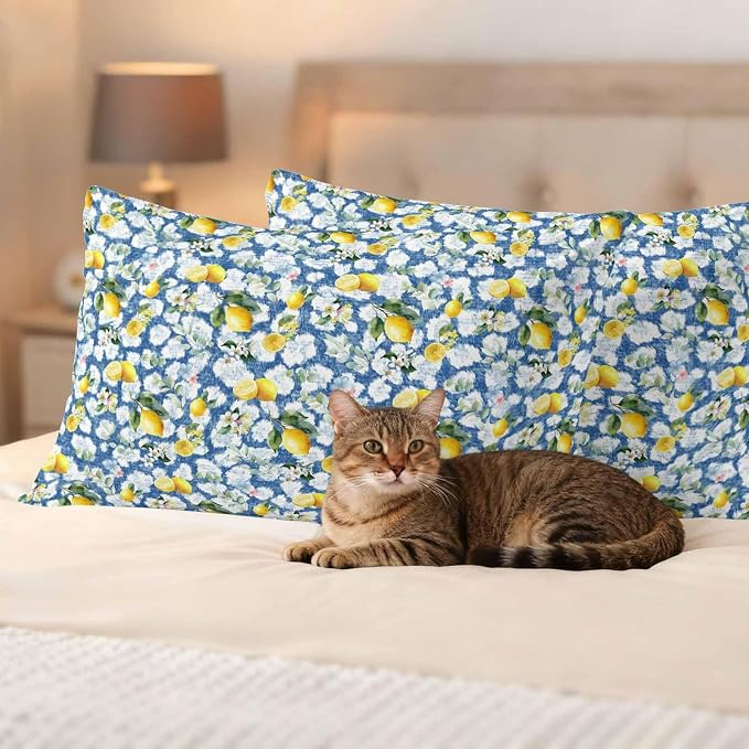 Yukro Summer Lemon Outdoor Waterproof Pillow Covers Pack of 2, Yellow Fruit White Flowers Country Plant Blue Throw Pillowcases Decorative Cushion Covers for Garden Patio Tent Sofa Couch, 20x12 inch