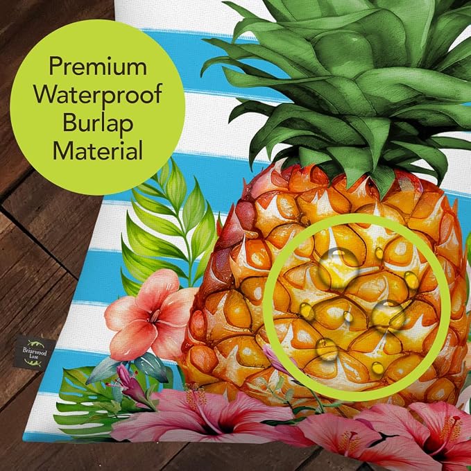 Briarwood Lane Everday Indoor/Outdoor Pillow 17x17 Pineapple and Stripes for Everday Pillow
