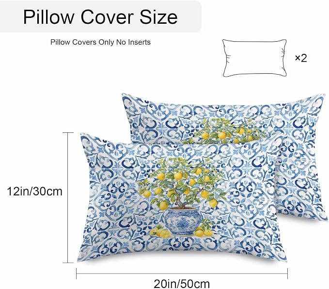 Summer Lemons Outdoor Pillow Covers 20x12 Inch Lumbar Pillow Covers Set of 2 Waterproof Decorative Throw Pillow Cases Blue Boho Floral Farmhouse Botanical Cushion Covers for Patio Furniture Garden