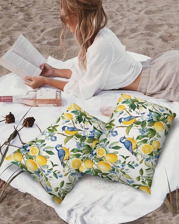 Outdoor Throw Pillow Covers Waterproof Pillow Cases 20x12In, Watercolor Lemon Bird Decorative Pillow Covers Cushion Cases for Couch Sofa Patio Garden,2 Pack Vintage Spring Blue Flower Foliage