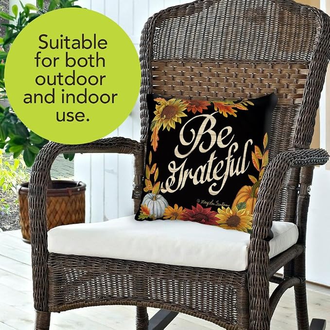 Briarwood Lane Thanksgiving Indoor/Outdoor Pillow 17x17 Be Grateful Fall Decorative for Thanksgiving Pillow
