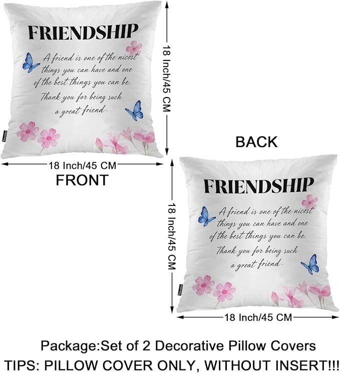 Swono Set of 2 Friendship Pillow Covers 18 X 18 Inch, A Friend is One of The Nicest Things Square Decorative Throw Pillow Covers for Sofa Couch Bed, Outdoor Indoor Pillowcase Cushion Cover