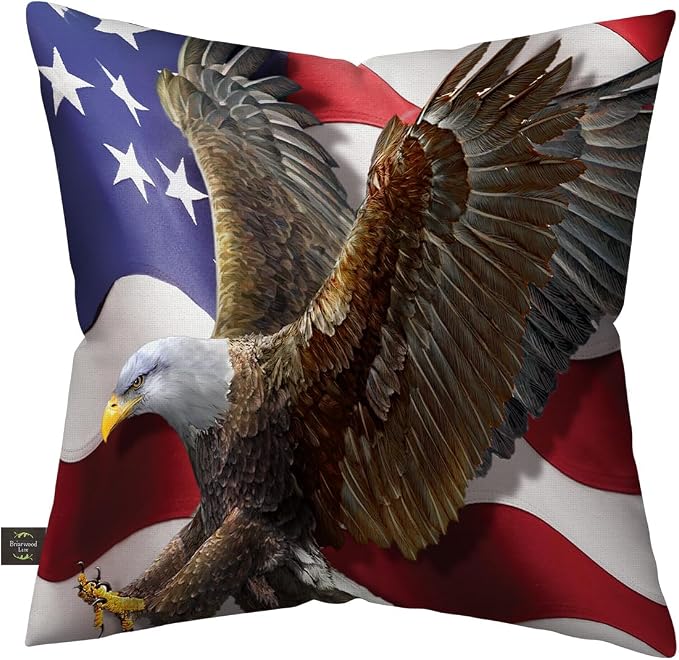 Briarwood Lane Everday Indoor/Outdoor Pillow 17x17 American Freedom Eagle for Everday Pillow