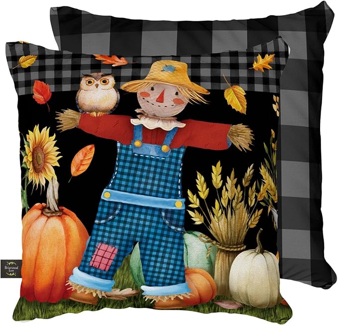 Briarwood Lane Fall Indoor/Outdoor Pillow 17x17 Friendly Scarecrow for Fall Pillow