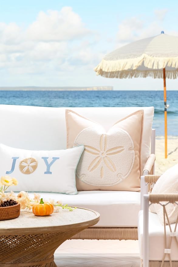 Hofdeco Premium Christams Coastal Patio Indoor Outdoor Lumbar Pillow Cover Only, 12"x20" Water Repellent for Backyard, Couch, Baby Blue Embroidered Joy