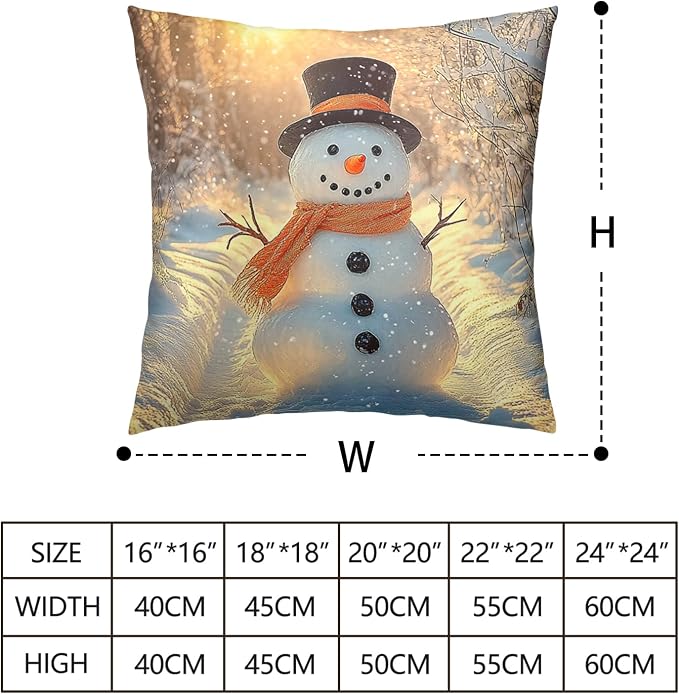 Winter Pillow Covers Snowman in The Sunshine Throw Pillow Covers 24x24 Snowflakes Pillow Case Double Sided Printing Cushion Case for Home Decor Couch Sofa Set of 2