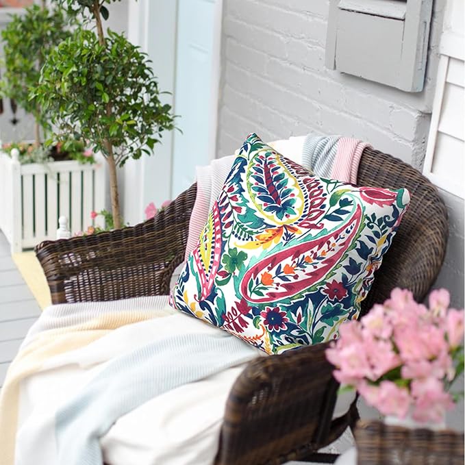 Outdoor Pillow Covers for Patio Furniture 20x20 Inch, Decorative Patio Throw Pillow Covers Set of 2, Modern Square Cushion Cases for Porch Garden Home Office, Vigour Paisley