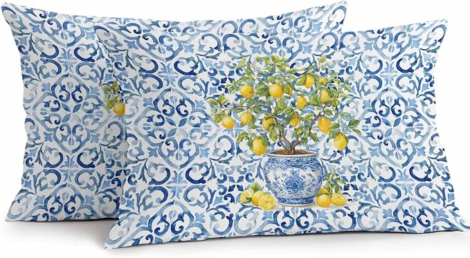 Summer Lemons Outdoor Pillow Covers 20x12 Inch Lumbar Pillow Covers Set of 2 Waterproof Decorative Throw Pillow Cases Blue Boho Floral Farmhouse Botanical Cushion Covers for Patio Furniture Garden
