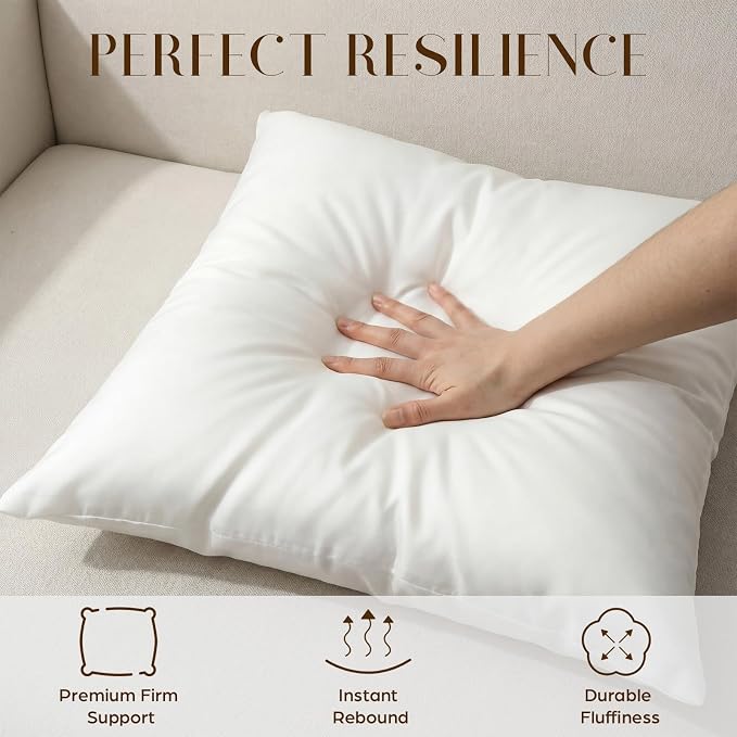 Sieral 2 Pcs 2.2 lb Weighted Outdoor Pillows Inserts, 18" x 18" Patio Waterproof Throw Pillows with 1.1 lb Glass Bead, Waterproof Square Pillow Cushion for Patio Garden Sofa Couch Deck, Yachts, Resort