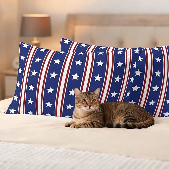 Blue Red Outdoor Pillow Covers 20"x12" Set of 2, Waterproof Throw Pillow Covers for Patio Furniture, Stripes Patirotic Star Independence Day Decorative Cushion Covers for Porch