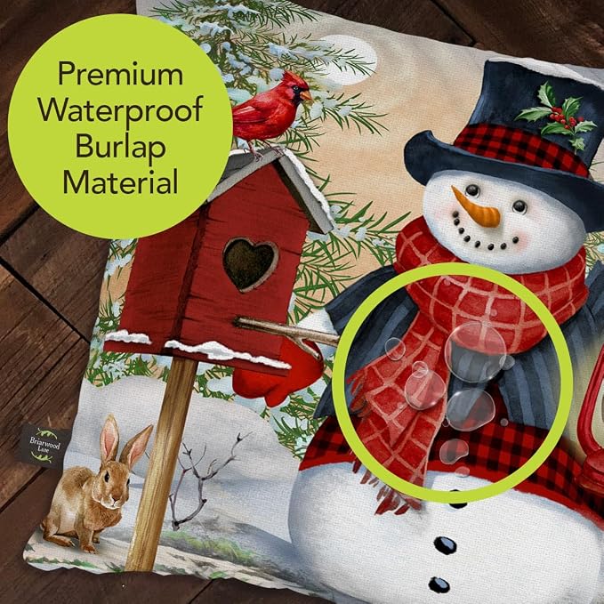 Briarwood Lane Winter Indoor/Outdoor Pillow 17x17 Snowman and Friends for Winter Pillow