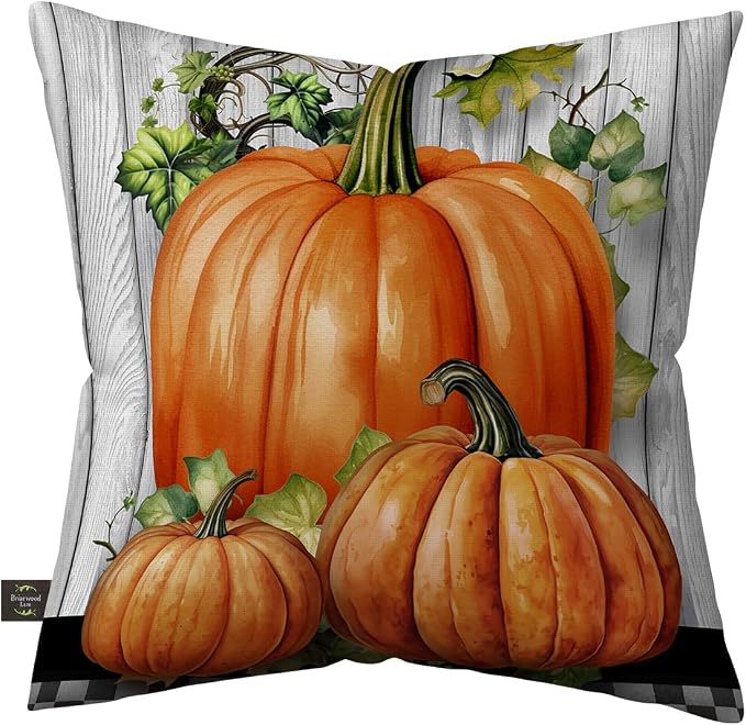 Briarwood Lane Fall Indoor/Outdoor Pillow 17x17 Country Farmhouse Pumpkins for Fall Pillow
