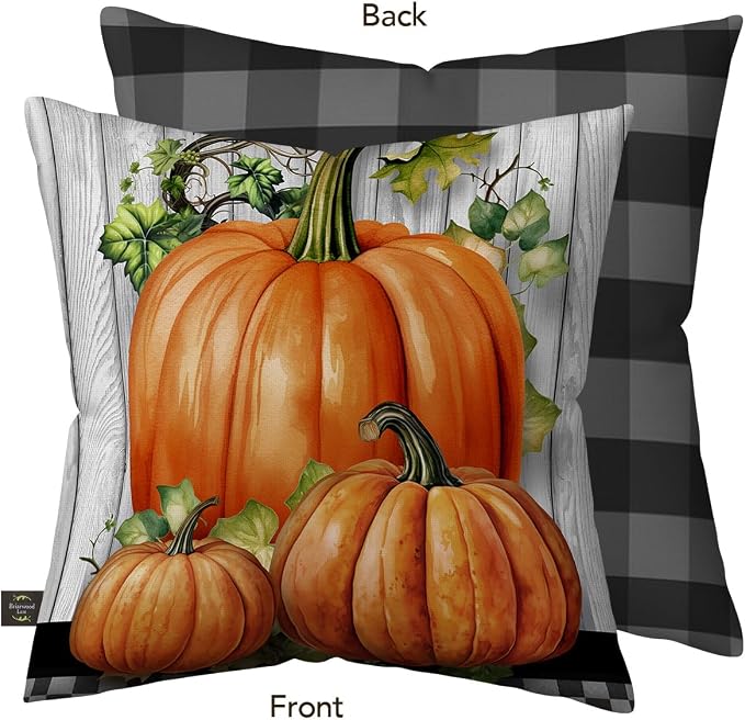 Briarwood Lane Fall Indoor/Outdoor Pillow 17x17 Country Farmhouse Pumpkins for Fall Pillow