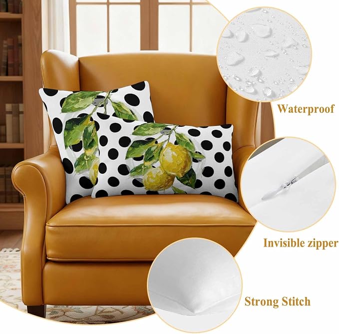 Waterproof Pillow Covers Set of 2,Summer Lemon Polka Dot Outdoor Pillow Protectors with Zipper Pillowcases for Patio Tent Garden Beach 16x16 Inches Country Fruit Oil Painting Style