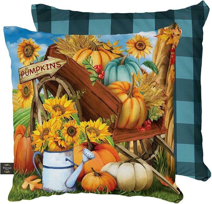 Briarwood Lane Fall Indoor/Outdoor Pillow 17x17 Pumpkin Cart for Fall Pillow