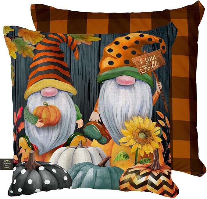 Briarwood Lane Fall Indoor/Outdoor Pillow 17x17 Fall Gnomes Humor Decorative for Fall Pillow