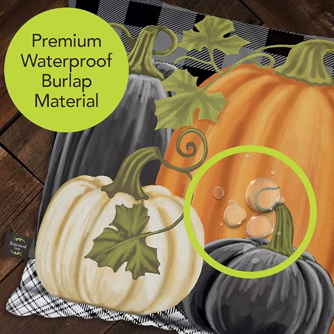 Briarwood Lane Indoor/Outdoor Pillow 17x17 Checkered Pumpkins Fall Decorative for Fall Pillow