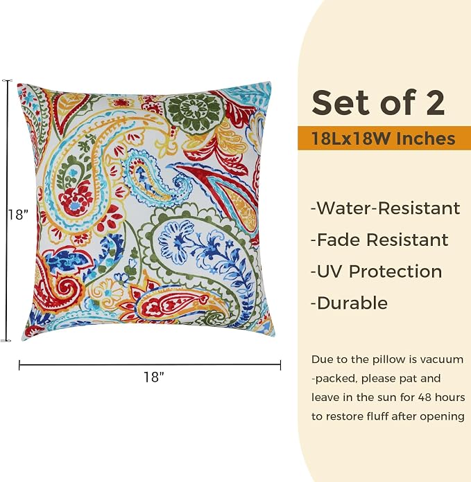 FUNHOME Outdoor Throw Pillows 18x18 inch,Decorative Throw Pillow with Insert Set of 2,Water Resistant Pillow for Patio Furniture Sofa Couch Chair(Phoenix)
