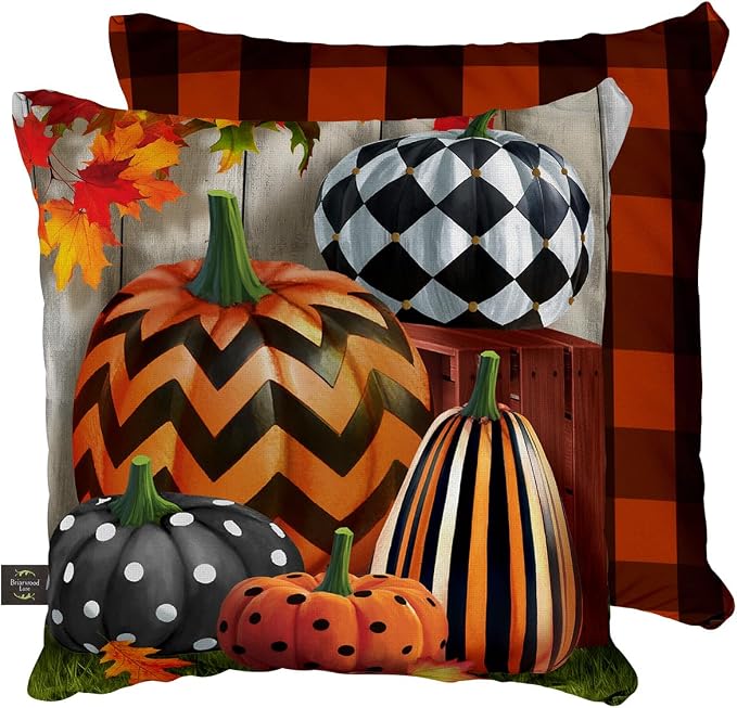 Briarwood Lane Fall Indoor/Outdoor Pillow 17x17 Patterned Pumpkins for Fall Pillow