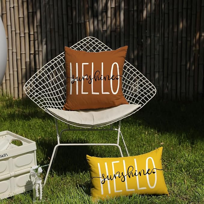DFXSZ Rust Outdoor Waterproof Pillow Covers 18x18 Set of 2 | Hello Sunshine Decor Summer Fall Polyester Pillow Covers(NO INSERTS)| Decor for Patio Funiture Garden Sofa Couch