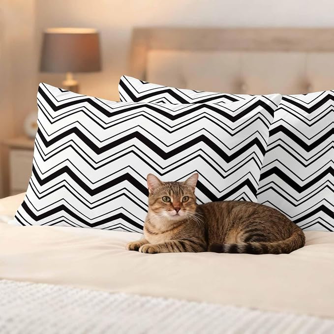 Abstract Geometric Outdoor Pillow Covers Set of 2 Ripple Stripe Chevron Black and White Waterproof Throw Pillow Cover Decorative Cushion Cases for Patio Porch Garden 20X12 Inch