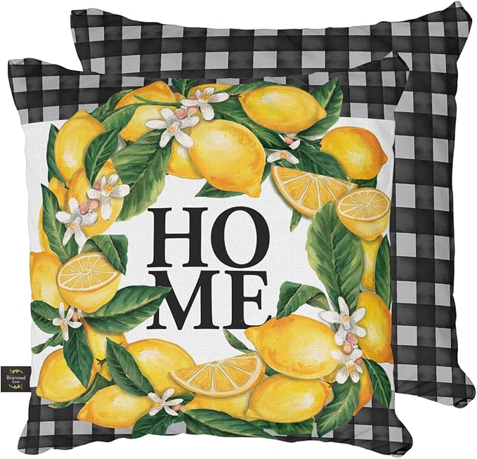 Briarwood Lane Everyday Indoor/Outdoor Pillow 17x17 Lemon Wreath Summer Pillow