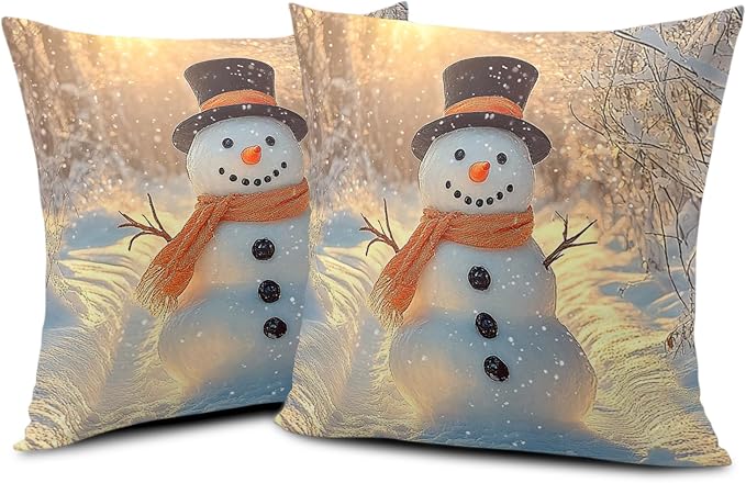 Winter Pillow Covers Snowman in The Sunshine Throw Pillow Covers 24x24 Snowflakes Pillow Case Double Sided Printing Cushion Case for Home Decor Couch Sofa Set of 2