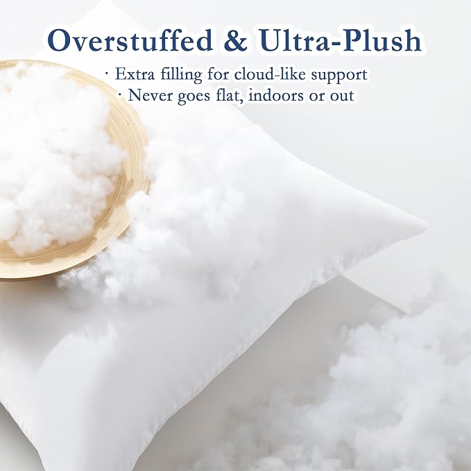puredown® 22x22 Outdoor Pillow Inserts, Set of 4, Fluffy Soft Waterproof Down Alternative Square Form Sham Stuffer for Porch Swing Sofa Couch Cushion Patio Furniture