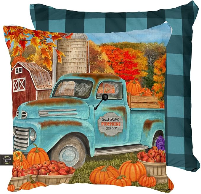 Briarwood Lane Fall Indoor/Outdoor Pillow 17x17 Fresh Picked Pumpkins for Fall Pillow