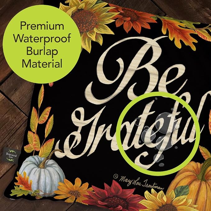 Briarwood Lane Thanksgiving Indoor/Outdoor Pillow 17x17 Be Grateful Fall Decorative for Thanksgiving Pillow