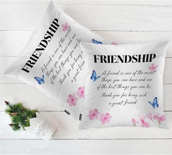 Swono Set of 2 Friendship Pillow Covers 18 X 18 Inch, A Friend is One of The Nicest Things Square Decorative Throw Pillow Covers for Sofa Couch Bed, Outdoor Indoor Pillowcase Cushion Cover